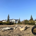 خرید زمین شهرک خانه دریا