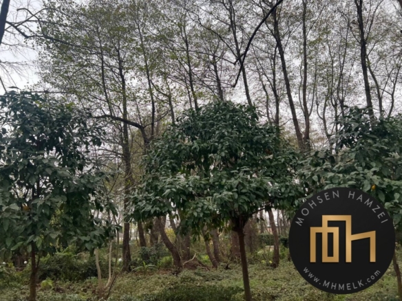 قیمت زمین شهرک فردوس