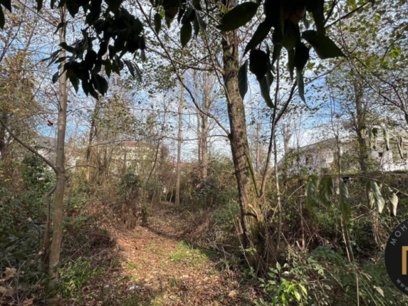 خرید زمین شهرک امیردشت