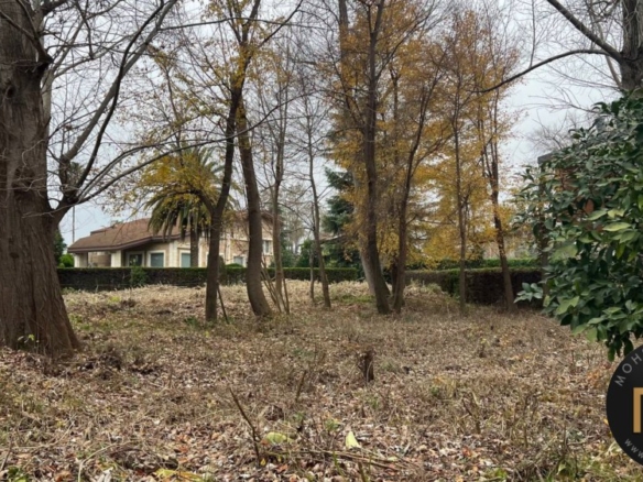 خرید زمین فردوس جنوبی