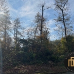 خرید زمین در امیردشت کلارآباد