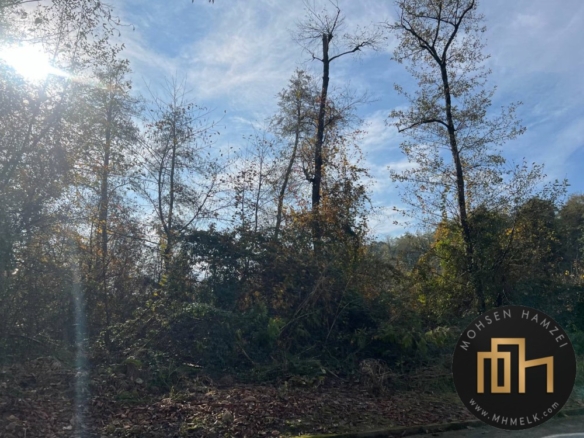 خرید زمین در امیردشت کلارآباد