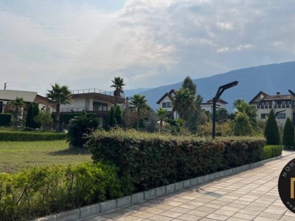 خرید زمین شهرک کاترینا نخ شمال نوشهر