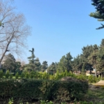 خرید زمین شهرک اتحاد مهندسین رویان