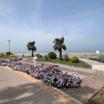 خرید زمین شهرک بهار نارنج