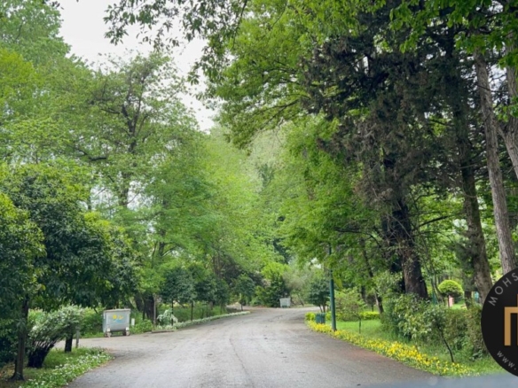 خرید زمین فردوس جنوبی