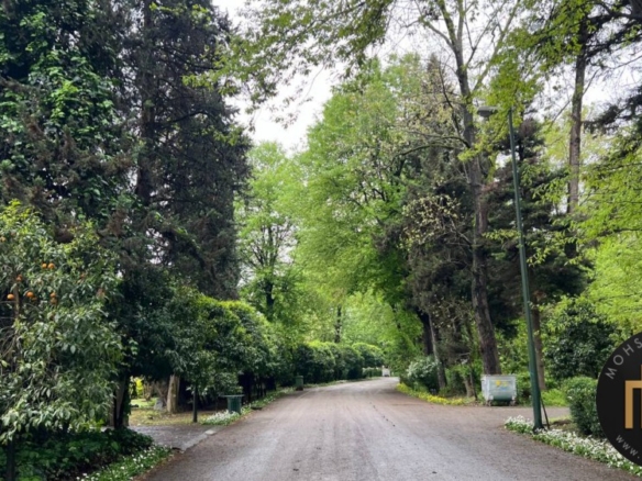 خرید زمین با مجوز ساخت در فردوس جنوبی