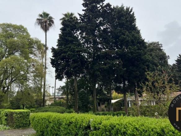 زندگی لاکچری در قلب شهرک فردوس جنوبی