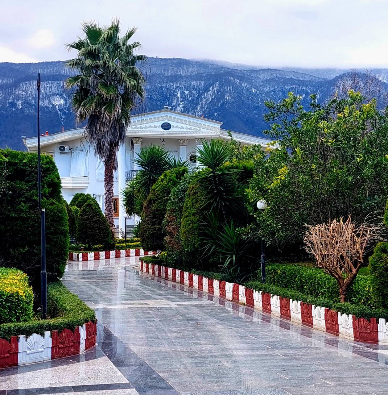 فروش ویلا باغ ۵۴۰۰ متری جنگلی در سیسنگان نوشهر فروش ویلا باغ ۵۴۰۰ متری جنگلی در سیسنگان نوشهر