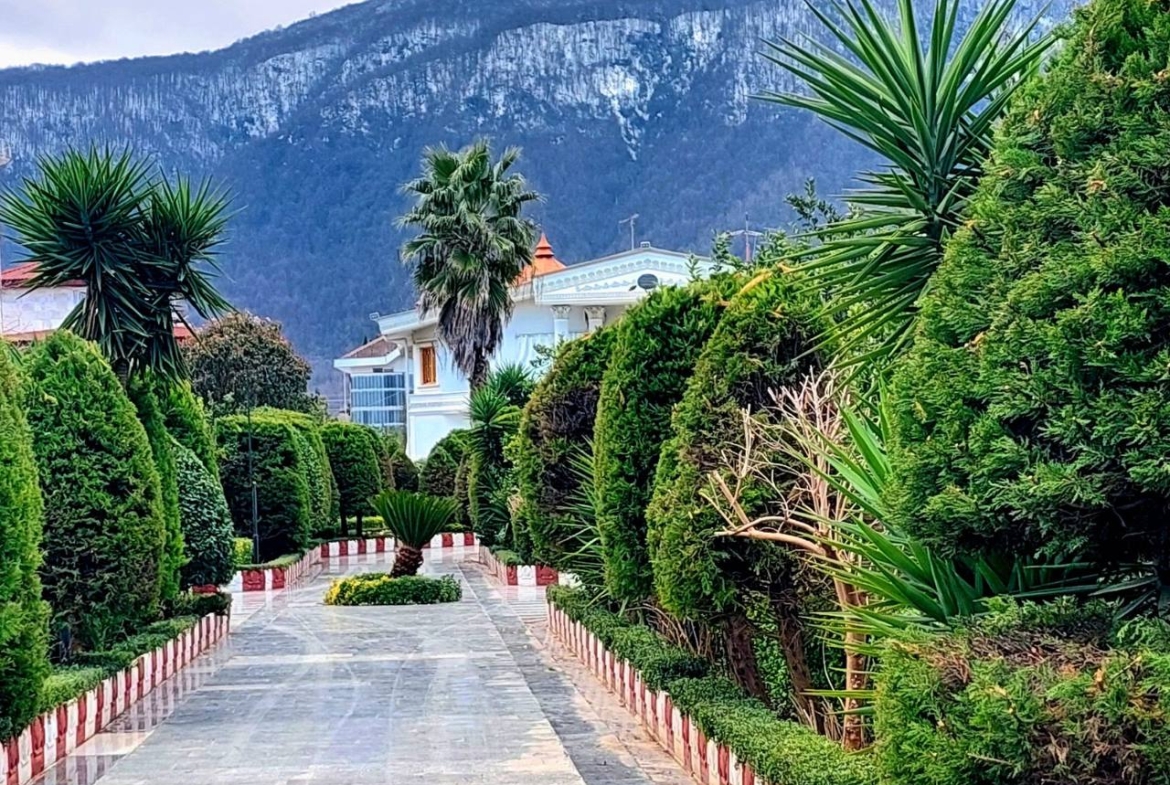 فروش ویلا باغ ۵۴۰۰ متری جنگلی در سیسنگان نوشهر